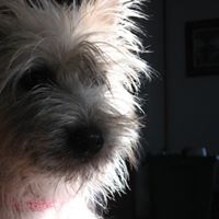 Cindy Markham Photo 13