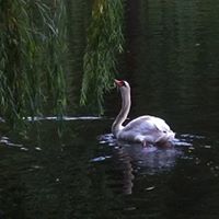 Michelle Triplett Photo 22