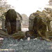 Martha Waggoner Photo 10
