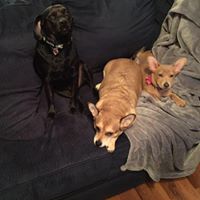 Michael Wexler Photo 26