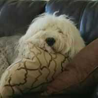 Kathy Wolff Photo 30