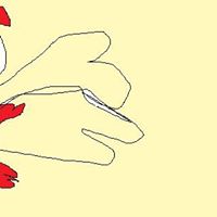 Megan Mccutcheon Photo 11