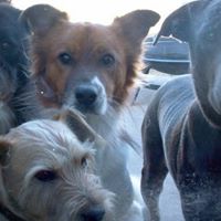 Laurie Hurst Photo 7