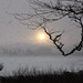 Stephen Wester Photo 9