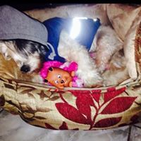 Cindy Quintero Photo 27