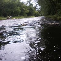 Cindy Kruger Photo 19