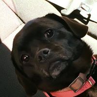 Nancy Lemons Photo 4