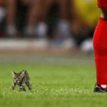 Martin Becker Photo 28