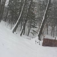 Stacie Mccann Photo 2