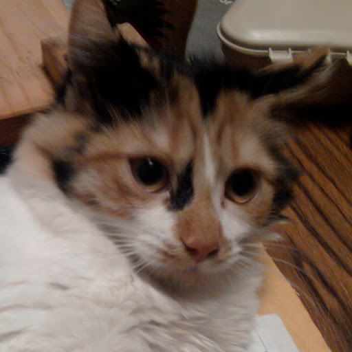 Beverly Mathis Photo 29