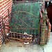 Rusty Gates Photo 30