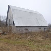 Janet Prosser Photo 6