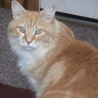 Nancy Lefebvre Photo 24