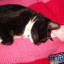Martha Adams Photo 41