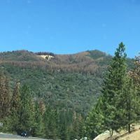 Patrick Gregory Photo 50