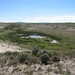 Jeffery Rawlins Photo 10
