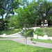Delores Gunderson Photo 1