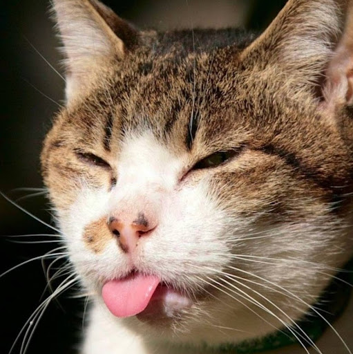 Pamela Hicks Photo 7