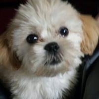 Debbie Archer Photo 40