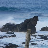 Tracy Huber Photo 21