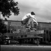 Dave Bench Photo 3