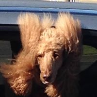 Janet Goldsmith Photo 12