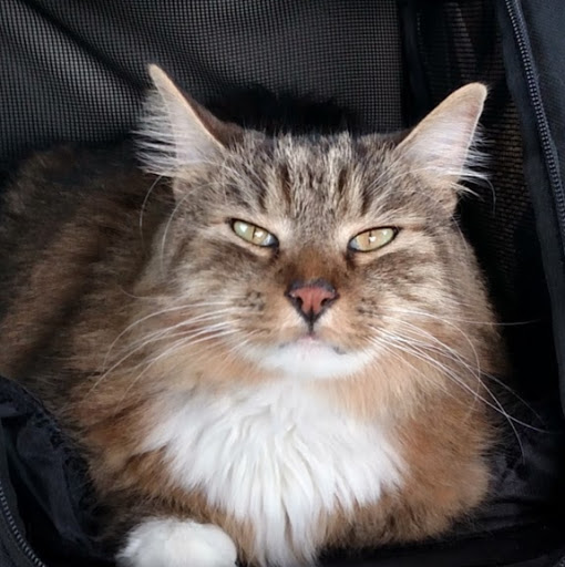 Carl Christensen Photo 52 Carl Christensen Photo 52