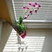 Gloria Wolfe Photo 11