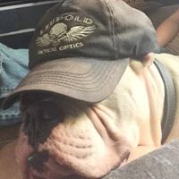 John Griffith Photo 30 John Griffith Photo 30