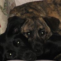 Sherry Petty Photo 8