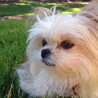 Paula Morrissey Photo 9