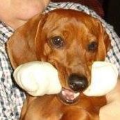 Janice Fridley Photo 2