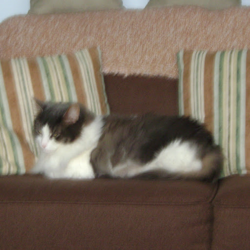 Barbra Brown Photo 26