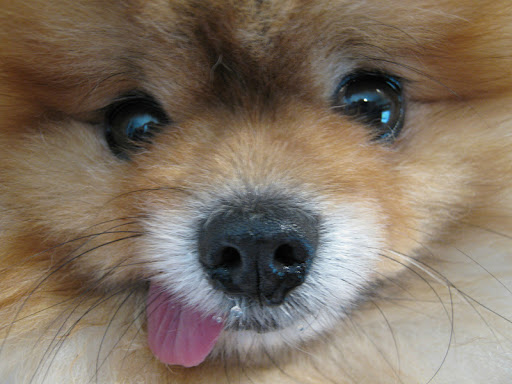 Derek Fields Photo 21