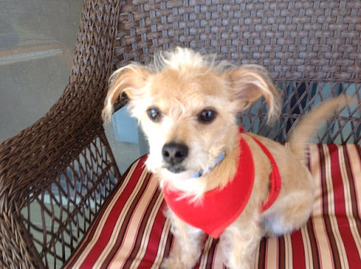 Nancy Arvidson Photo 9