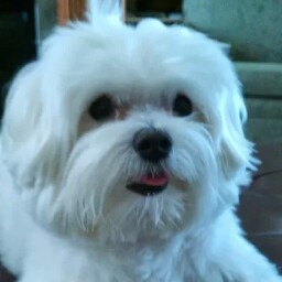 Janice Adair Photo 3