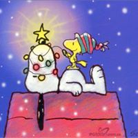 Beverly Thomas Photo 19