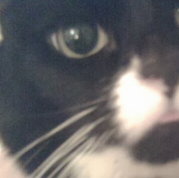 Sarah Mcmillan Photo 27