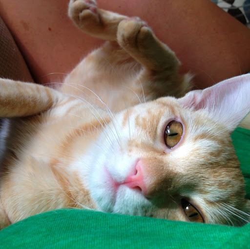 Allison Robbins Photo 18