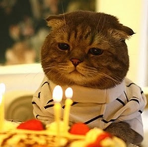 Seth Mccann Photo 10