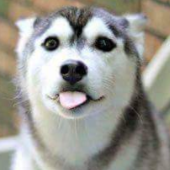 Thomas Scroggins Photo 36