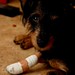 Charlie Hurt Photo 26