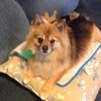 Vickie Grimes Photo 22