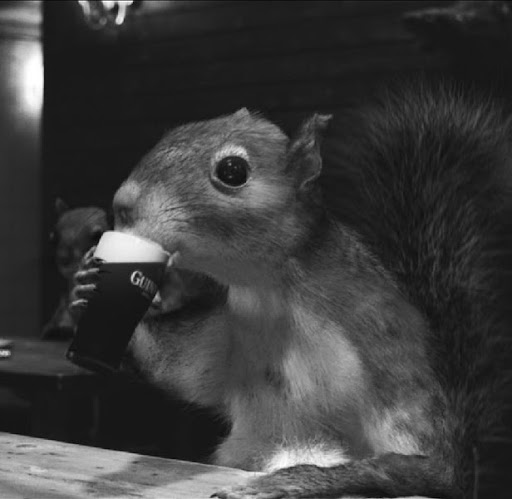 Gerard Stevenson Photo 1