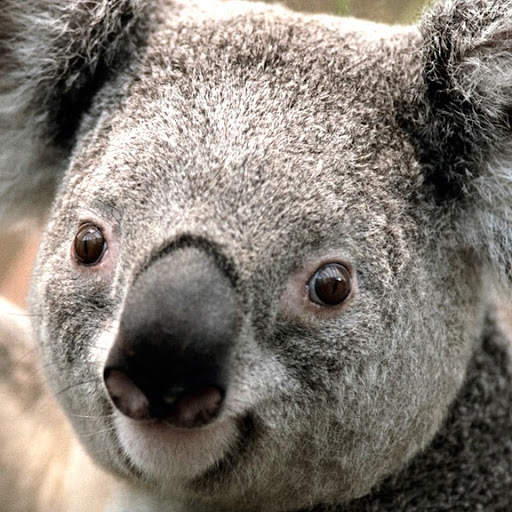 Maurice Jackson Photo 31 Maurice Jackson Photo 31