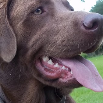 Walter Meyer Photo 40