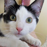 Jesse Katz Photo 30 Jesse Katz Photo 30