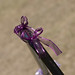 Cindy Guido Photo 23