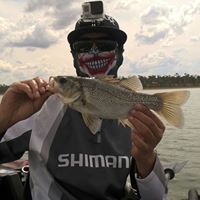 Shaun Randall Photo 16