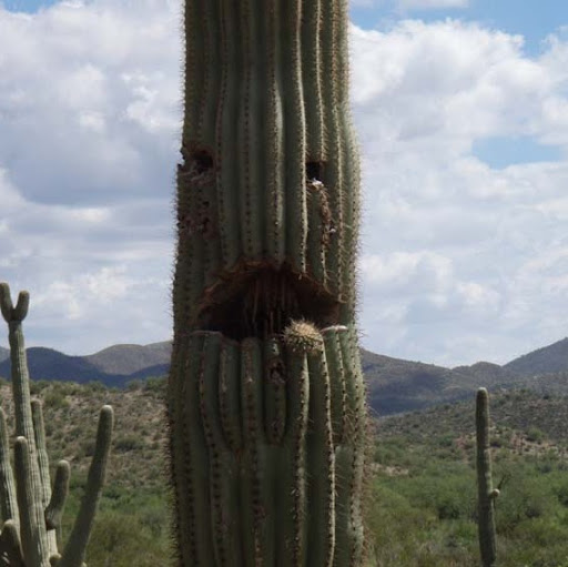 Lawrence Lambert Photo 16